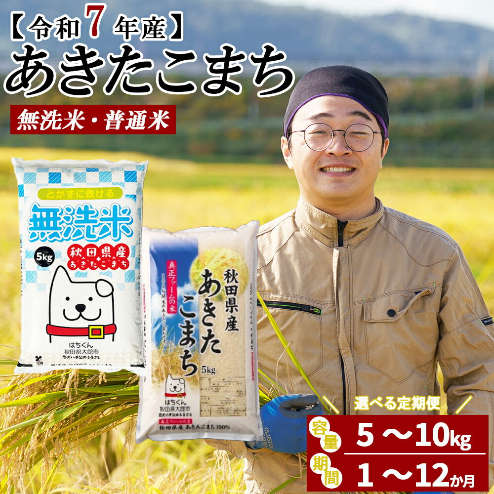【ふるさと納税】【令和7年産】【選べる容量・お届け回数】秋田県産「あきたこまち」無洗米or普通米 5〜10kg 1~12回 【2025年産 白米 精米 東北産 粘り 弾力性 節約 手間なし 国産 旨み 香り 栄養 のし対応可能 おにぎり お弁当 真正ファーム 送料無料】
