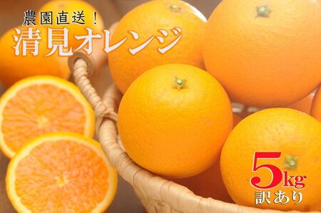 清見オレンジ 約5kg 大小混合 《ご家庭用》 ちょっと訳あり 和歌山県産 農園直送 まごころ産直みかん 【北海道・沖縄県・一部離島 配送不可】