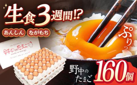 産みたて新鮮卵 野中のたまご  160個【野中鶏卵】 [OAC003] /卵 たまご 高級卵 卵焼き 卵かけご飯 たまご 濃厚たまご タマゴ