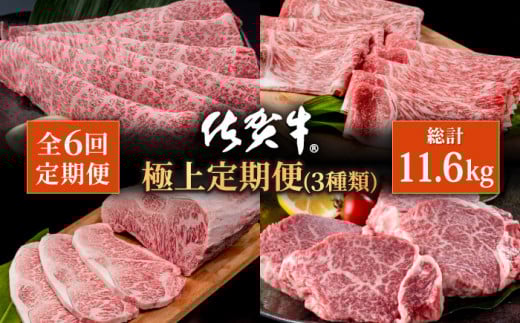 【肉のプロが厳選！】【6回定期便】佐賀牛 極上 定期便【株式会社いろは精肉店】牛肉 国産 肉 和牛 セット 冷凍 九州 [IAG078]