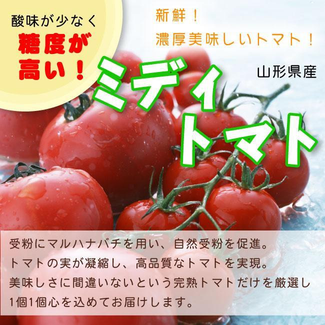 
【令和6年産先行受付】山形県中山町産ミディトマト＜シンディスイート＞約2kg
