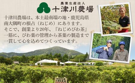 ねじめびわ茶 ボトル缶 5本 ≪お試し≫  | びわ茶 びわちゃ ノンカフェイン お茶 茶 おちゃ 飲料 無香料 無着色