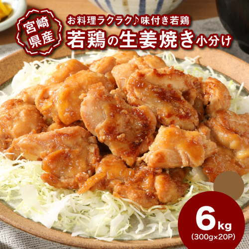 宮崎県産若鶏の生姜焼き 小分け 6kg_K16_0133_1