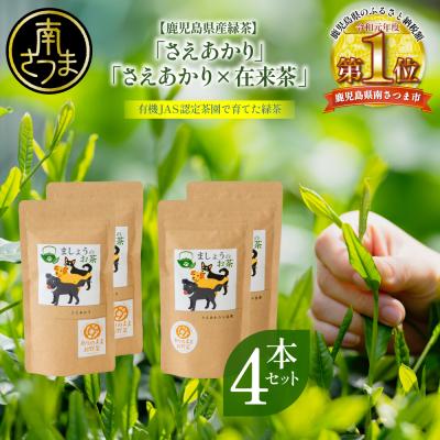 ふるさと納税 南さつま市 【鹿児島県産緑茶】ましょうのお茶「さえあかり」「さえあかり×在来茶」4本セット 計200g
