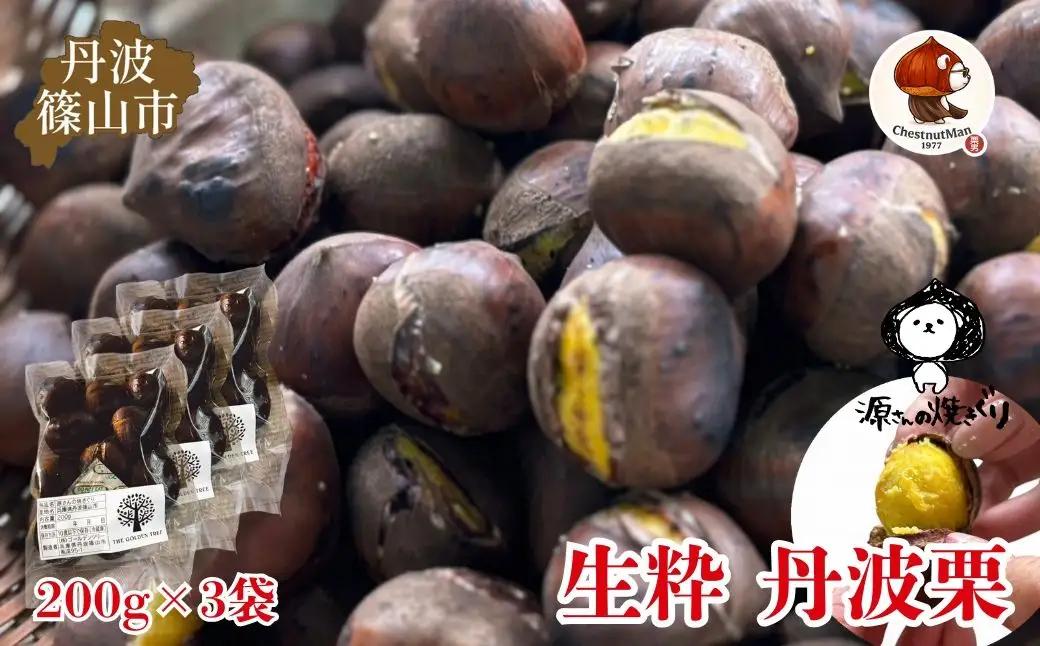 2025年産 生粋丹波栗 源さんの焼きぐり Chestnut Man1977（200g×3袋） | プレミアム栗 期間限定 お取り寄せグルメ 高級 特産品 名産品 マロン 関西 西日本 GDT008