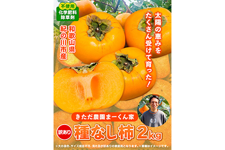 【訳あり】まーくん家のたねなし柿 2kg かき 種なし きただ農園まーくん家 《2025年9月下旬-10月末頃出荷》 和歌山県 紀の川市