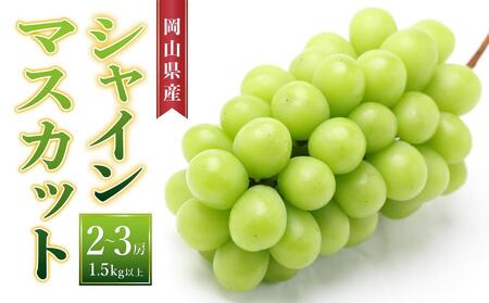 ぶどう［2025年先行予約］シャインマスカット 2房～3房（1.5kg以上）岡山県産 | フルーツ 果物 くだもの ぶどう ブドウ シャインマスカット 国産 岡山県産 食品 人気 おすすめ 送料無料 ギフト 贈り物 贈答品 プレゼント 果物 くだもの フルーツ ぶどう ブドウ シャインマスカット