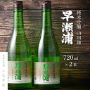 【ふるさと納税】【早瀬浦】純米吟醸 山田錦 720ml × 2本 セット【日本酒 地酒 福井 美浜 早瀬 フルーティ 男酒 硬水 ミネラル 希少 ご褒美 家飲み】 [m16-a005]