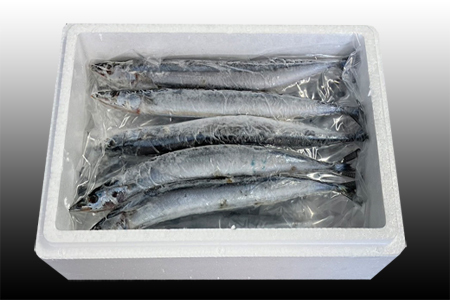【北海道根室産】生さんま5尾×2P G-30001