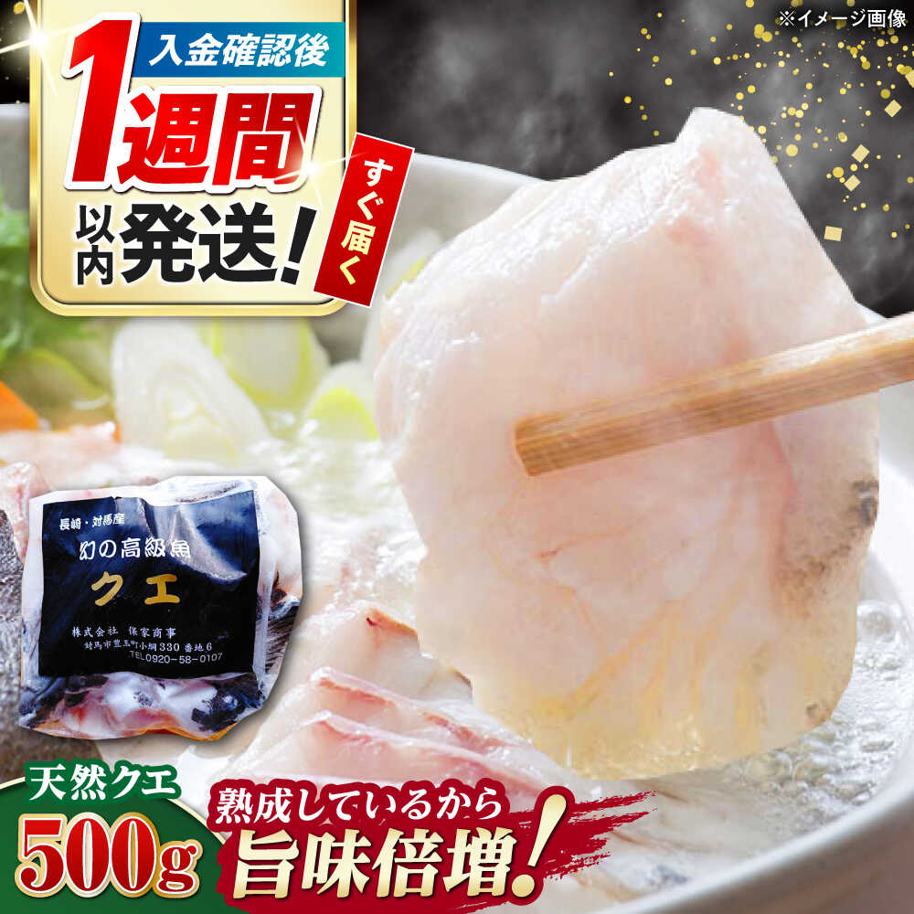 【ふるさと納税】【1週間以内発送】【迷ったらコレ！】対馬産 幻の高級魚 クエ 500g《対馬市》【保家商事】 [WAA004] 冷凍配送 くえ アラ 切身 海鮮 鮮魚 魚介 九州 長崎 対馬 魚 魚介類 クエ鍋 幻 白身魚 高級 貴重 くえ クエ アラ 切身 鍋 スピード発送 最速発送 最短発送