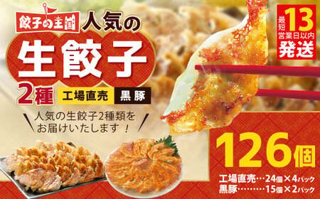 ＜ R8年熊本地震復興支援 ＞ 餃子の王国 人気の生餃子 2種 126個 黒豚 生餃子 餃子 ぎょうざ 豚肉 冷凍 国産 熊本 セット