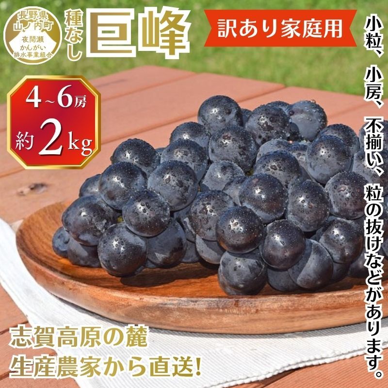 【2026年9月～発送】種無し巨峰 訳あり家庭用 約2kg 4～6房 ぶどう 葡萄 巨峰 果物 信州 長野