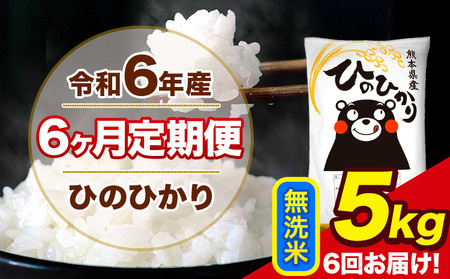 令和6年産  【6ヶ月定期便】 ひのひかり 無洗米 5kg 5kg×1袋 計6回お届け 熊本県産 こめ コメ 無洗米 精米 荒尾市 ひの 米 定期 《お申込み月の翌月から出荷開始》 美味しい米 お米 熊本県産米 くまもと米