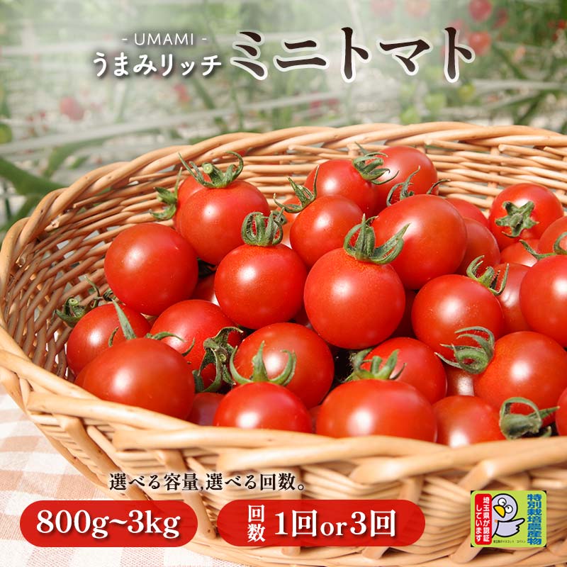 【ふるさと納税】＜特別栽培農産物＞ファームサイドのこだわりミニトマト 容量 回数 選べる 野菜 トマト ミニトマト 特別栽培 農産物 サラダ 生食 ピクルス 炒め物 食品 本庄産 関東 F5K-510var