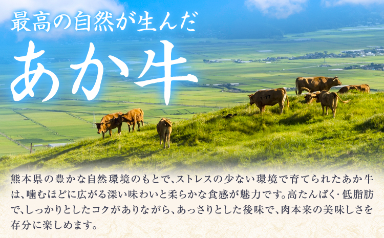GI認証取得 くまもとあか牛 焼肉用 切り落とし 300g×2パック 合計600g あか牛 切落し 牛肉 肉 国産 九州産 熊本県産 冷凍《30日以内に出荷(土日祝除く)》
