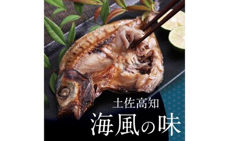 高知の海の干物たち＜高知市・南国市共通返礼品＞