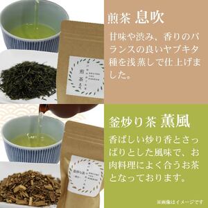 お茶 5種セット 茶葉 煎茶 静岡茶 お茶 お茶
