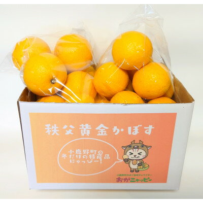 【ふるさと納税】秩父黄金かぼす2kg　冬の特産品【家庭用】【1566419】