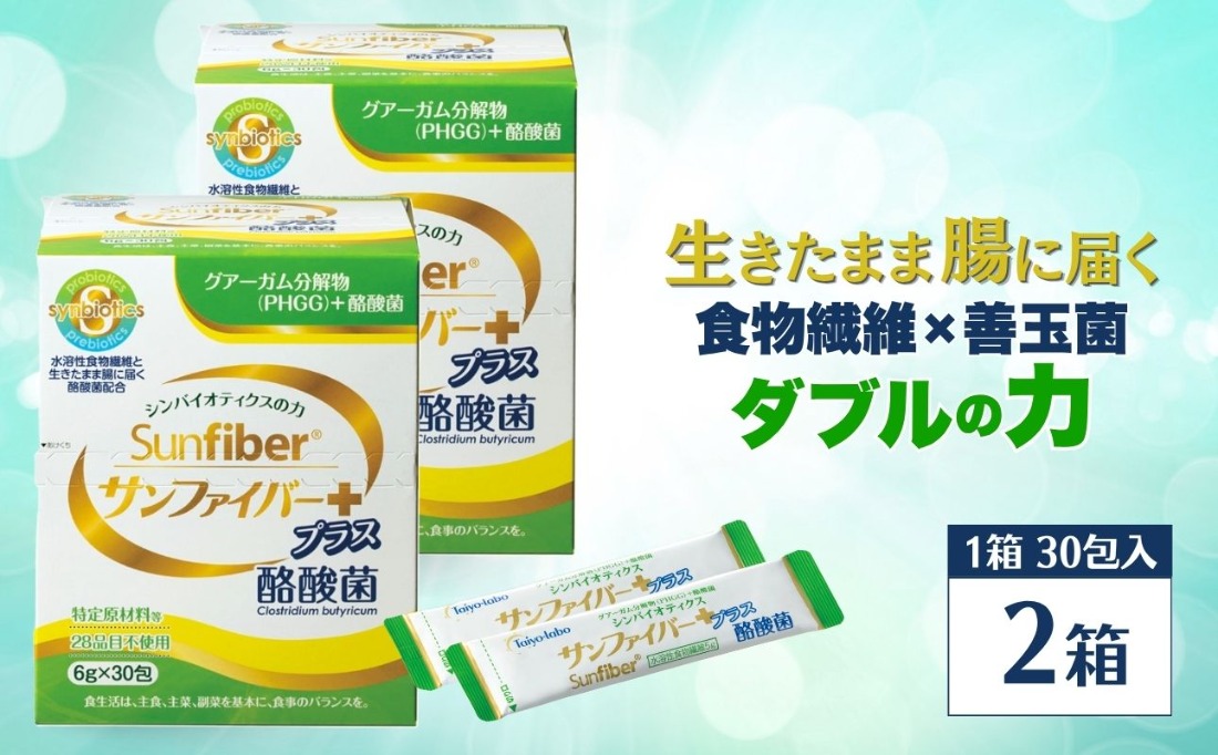 TVで話題！ グアーガム分解物 サンファイバープラス 粉末スティック 6g×30包(2箱セット) │水溶性食物繊維 酪酸菌 医療 介護 シンバイオティクス プレバイオティクス プロバイオティクス 発酵性食物繊維 健康食品 サプリ 個包装  太陽化学 三重県 四日市市 ふるさと納税