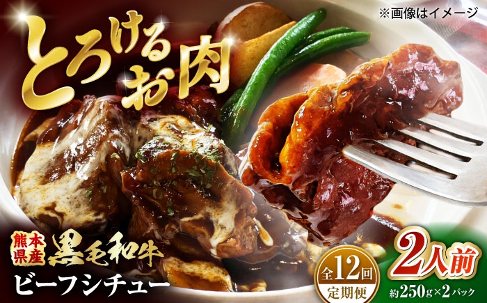 
                  【全12回定期便】 熊本県産 くまもと黒毛和牛 こだわりのビーフシチュー 計2パック （約250g×2パック） ビーフシチュー ビーフ シチュー 牛肉 肉 【有限会社スイートサプライなかぞの】 [ZBV110]
                