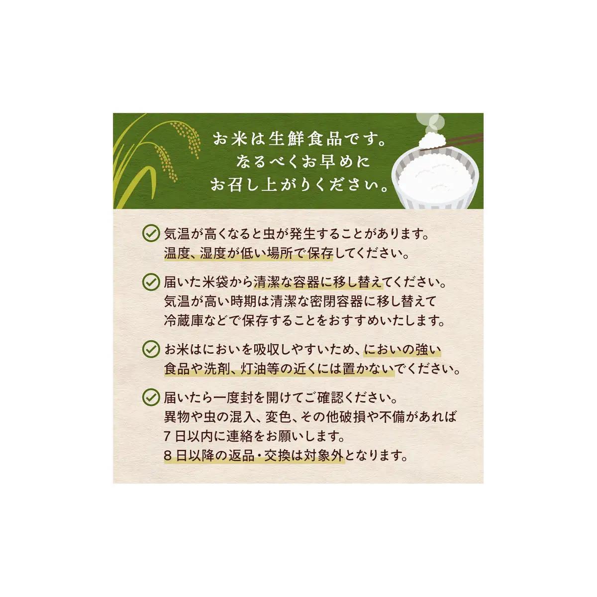 特別栽培米 ササニシキ 玄米 10kg