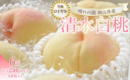 
                  桃 2027年 清水 白桃 6玉（1玉250g以上） 等級： ロイヤル 化粧箱入り もも モモ 岡山県産 国産 フルーツ 果物 ギフト
                