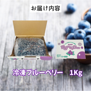 訳あり 冷凍ブルーベリー 約 1kg ブルーベリー
