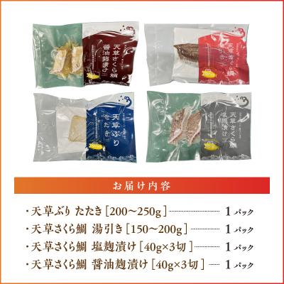 ふるさと納税 天草市 天草YO!殖魚便 ぶり さくら鯛 4種 各1パック_S042-004A |  | 03