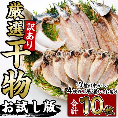 ふるさと納税 佐伯市 &lt;訳あり&gt; 厳選 干物 お試し版 (総量10枚)