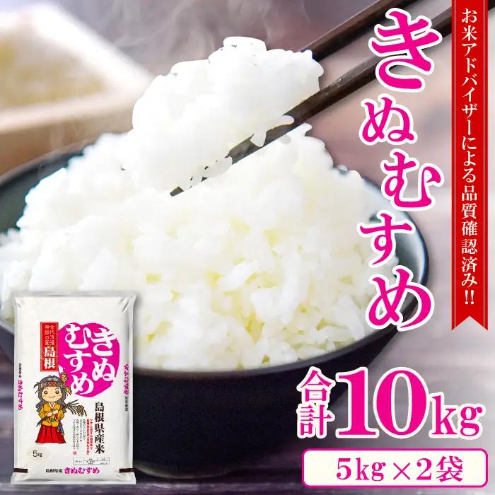 令和7年産 美郷きぬむすめ 10kg（5kg×2袋）【米 お米 精米 白米 ブランド米 きぬむすめ 10kg 5kg×2袋 2025年産】