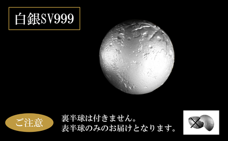 SV999 白銀の月　表半球　Lunéa（ルネア）