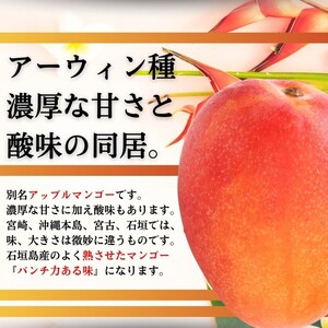 【先行予約】【石垣島産アップルマンゴー】完熟マンゴー 内容量2kg (3～6個入り)化粧箱入り《2025年6月末〜7月下旬発送》【 産地直送 沖縄 石垣 フルーツ マンゴー アップルマンゴー 完熟マン