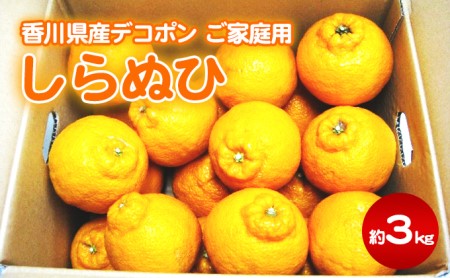 デコポン でこぽん しらぬひ 不知火 香川県産 国産 ご家庭用 家庭用 約3kg キズあり 小玉 甘みが強い 程よい酸味 薄皮ごと 手で剥ける 柑橘 柑橘類 みかん 蜜柑 ミカン 果物 くだもの フルーツ 果実 五色青果 香川 香川県 東かがわ市 46312203