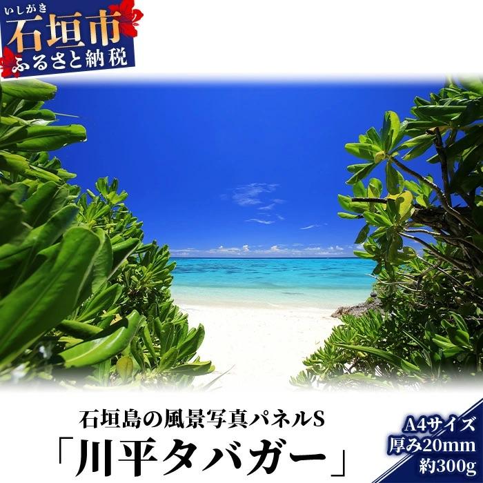ふるさと納税 石垣市 石垣島の風景 写真パネルS(川平タバガー) NN-8