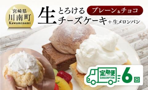 【定期便6回コース】とろける生チーズケーキ（プレーン・チョコ）+メロンパン【スイーツ ケーキ チーズケーキ プレーン チョコ 洋菓子 おまけつき 全6回】