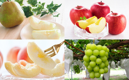 【定期便4回】☆フルーツ王国山形☆『ラ・フランス、りんご、白桃、シャインマスカット』 FY25-307