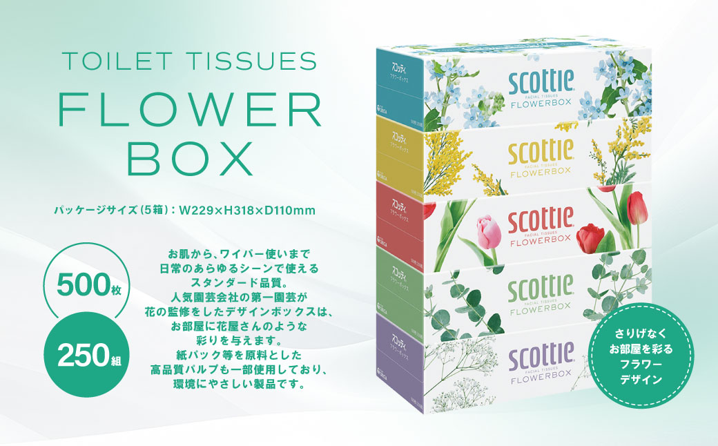 【スコッティ】ティシュー フラワーボックス 250組 5箱パック×6セット 合計30箱 ティッシュ 日用品 生活必需品 消耗品 紙 まとめ買い 備蓄 防災備蓄 デザインボックス