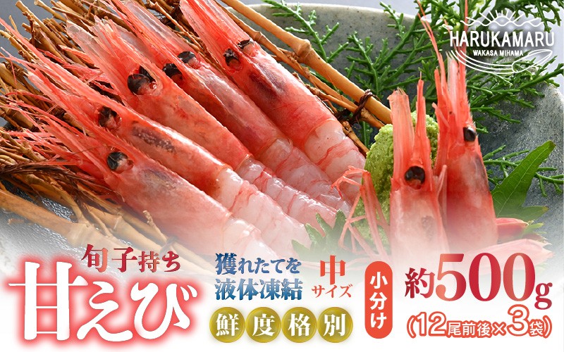 
                  旬子持ち甘えび 小分け 約500g【12尾前後 × 3袋】中サイズ 鮮度格別 獲れたてを液体凍結 えび エビ 海老 甘エビ 甘えび 甘海老 人気 海鮮 お刺身 魚介 海鮮丼 生食 お造り 無添加 冷凍 急速冷凍 福井県産 [m36-a014]
                