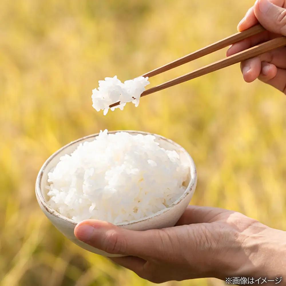 【全6回定期便】 とくべつの中のとくべつ 特別栽培米 5kg 夢つくし 吉富町/(株)やました[BGBX007]