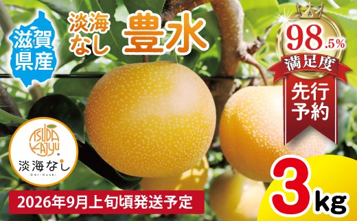 
                  【先行予約】【数量限定】淡海なし　豊水　3kg箱入り（サイズ：2L～7L　5～10個入り）【K129W】 梨 ナシ こだわりの梨 フルーツ 果物 旬の梨 豊水 ほうすい ホウスイ
                