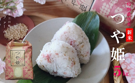 【令和7年産・精米】大沼ファームの特別栽培米つや姫5kg　※10月中旬頃から順次配送　