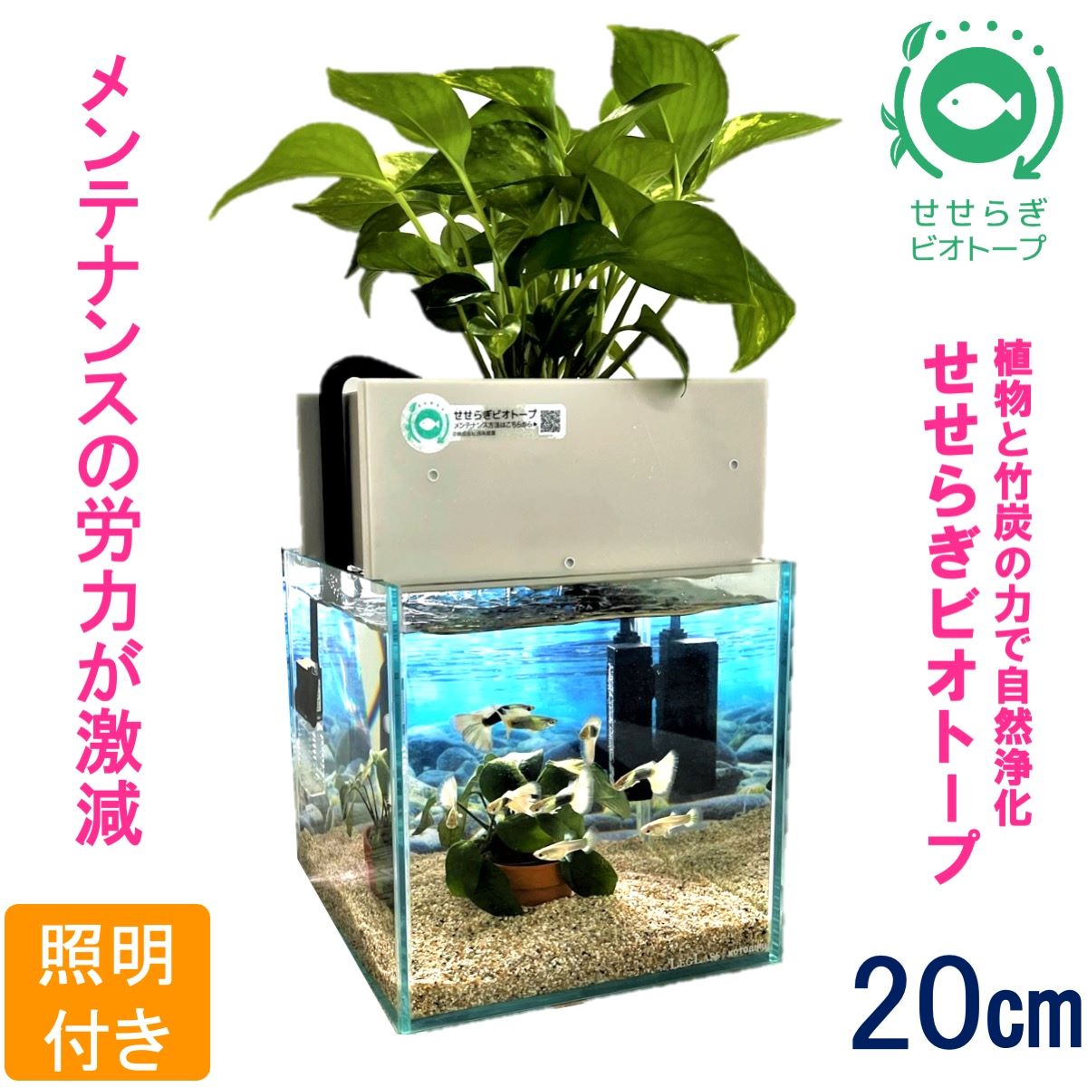 水槽セット　せせらぎビオトープ　20cm型照明　植物　魚　(グレー）