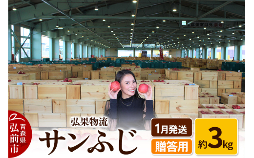 【26年1月発送】りんご 贈答用 サンふじ 約3kg