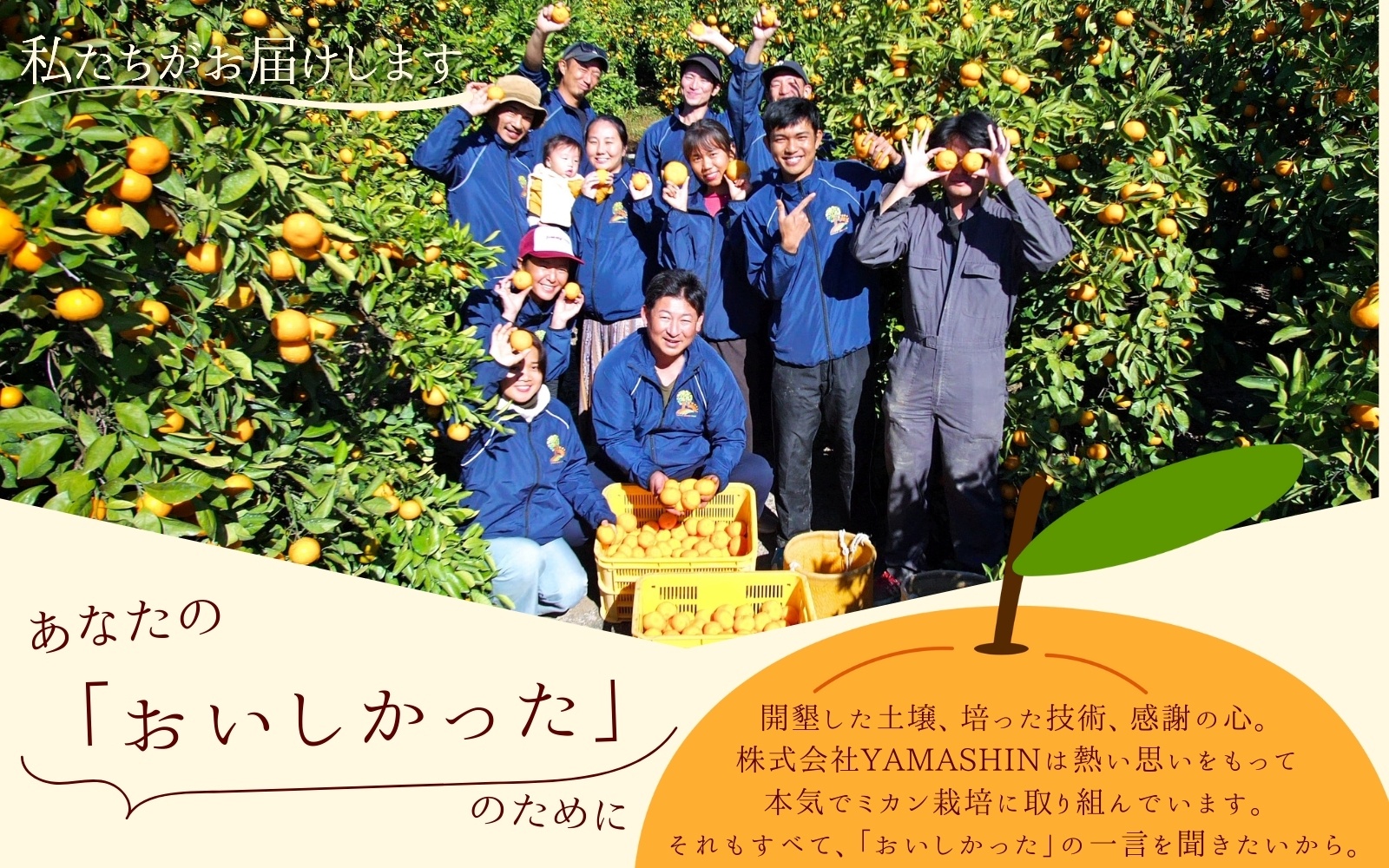 【2025年12月発送予約分】【家庭用】【農家直送】こだわりの有田みかん 約10kg＋250g(傷み補償分) 有機質肥料100% サイズ混合　【12月発送】※北海道・沖縄・離島配送不可 / みかん み