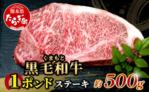 【9月発送】くまもと黒毛和牛 1ポンド ステーキ 約500g《 黒毛 和牛 1 pound ステーキ 500g ブランド牛 上質 常備 冷凍 熊本県 》113-0512-09