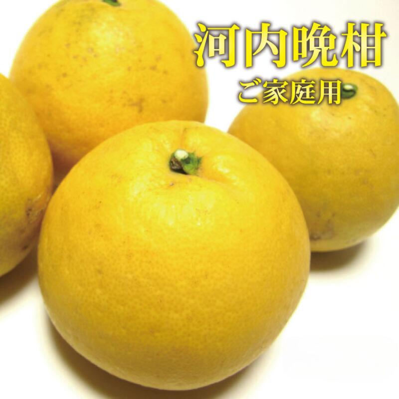 【ふるさと納税】【2025年4月中旬～6月下旬発送】【和製グレープフルーツ】有田育ちの河内晩柑(ご家庭用)　【選べる容量】1.7kg 3.5kg 7.5kg / みかん ミカン オレンジ 柑橘 フルーツ 果物 旬※北海道・沖縄・離島配送不可