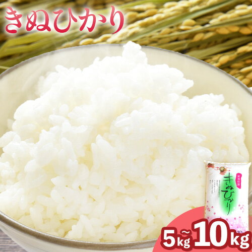 【ふるさと納税】令和7年産 米 きぬひかり 選べる 5kg 10kg スマイル 《30日以内に出荷予定(土日祝除く)》 和歌山県 日高町 米 お米 こめ コメ きぬひかり キヌヒカリ 送料無料