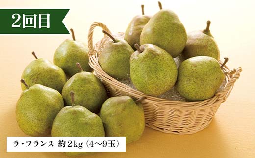 【定期便 3回】シャインマスカットから始まる満足定期便(1) シャインマスカット ラ・フランス 洋梨 梨 りんご サンふじりんご 果物 フルーツ 山形県 中山町 F4A-0449