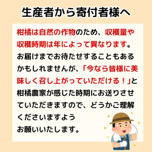 家庭用 愛南ゴールド（河内晩柑）約5kg みかん 蜜柑 河内晩柑 グレープフルーツ 柑橘 果物 フルーツ 前田ファーム 愛媛 愛南 【発送期間 3月下旬～5月上旬 】(なくなり次第終了)