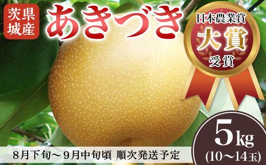 【先行予約】茨城県産「あきづき」約5kg【2025年8月下旬～9月中旬にかけて発送予定】【 梨 果物 くだもの フルーツ 国産 季節限定 人気 贈り物 お取り寄せ デザート 】